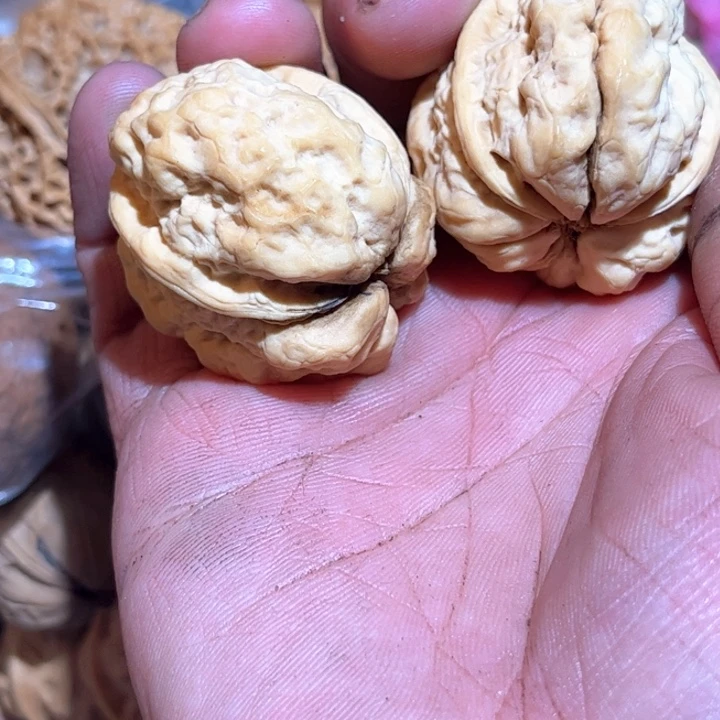 文玩核桃吊坠很***叔滇西55