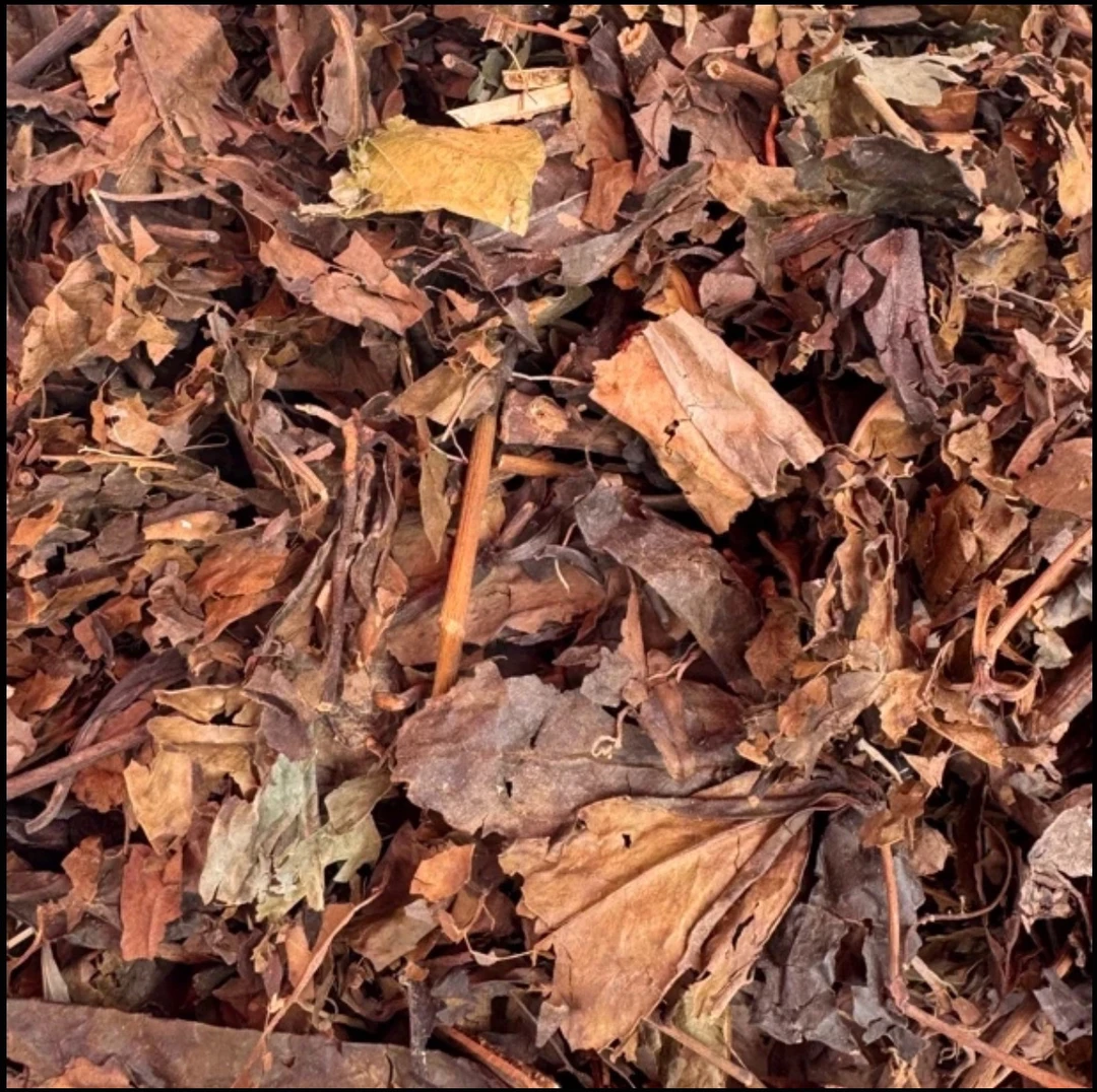 云南山货【肖大王】干货 老陈甄选