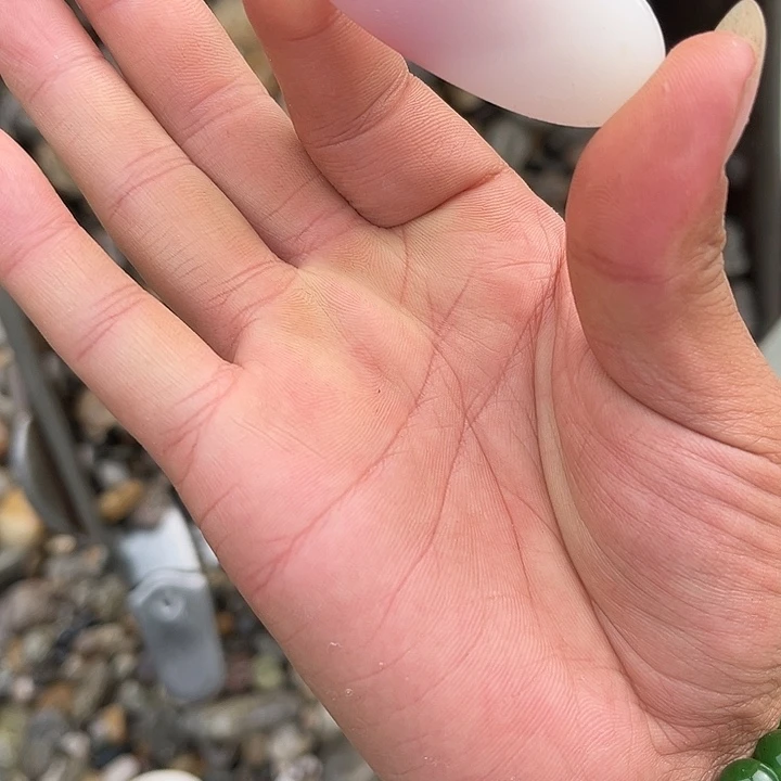 未镶嵌和田玉（糖玉）车挂