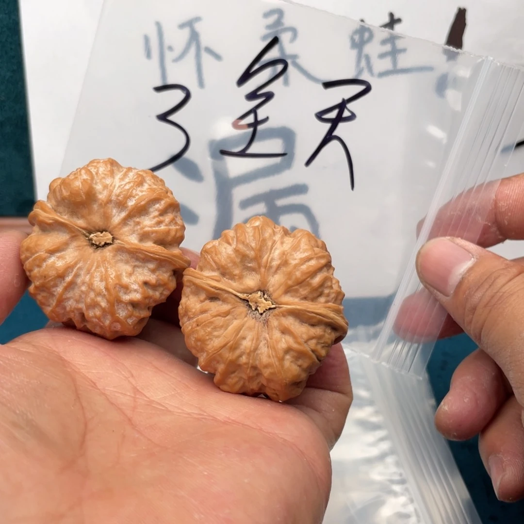 核桃手串/手链469863386386863