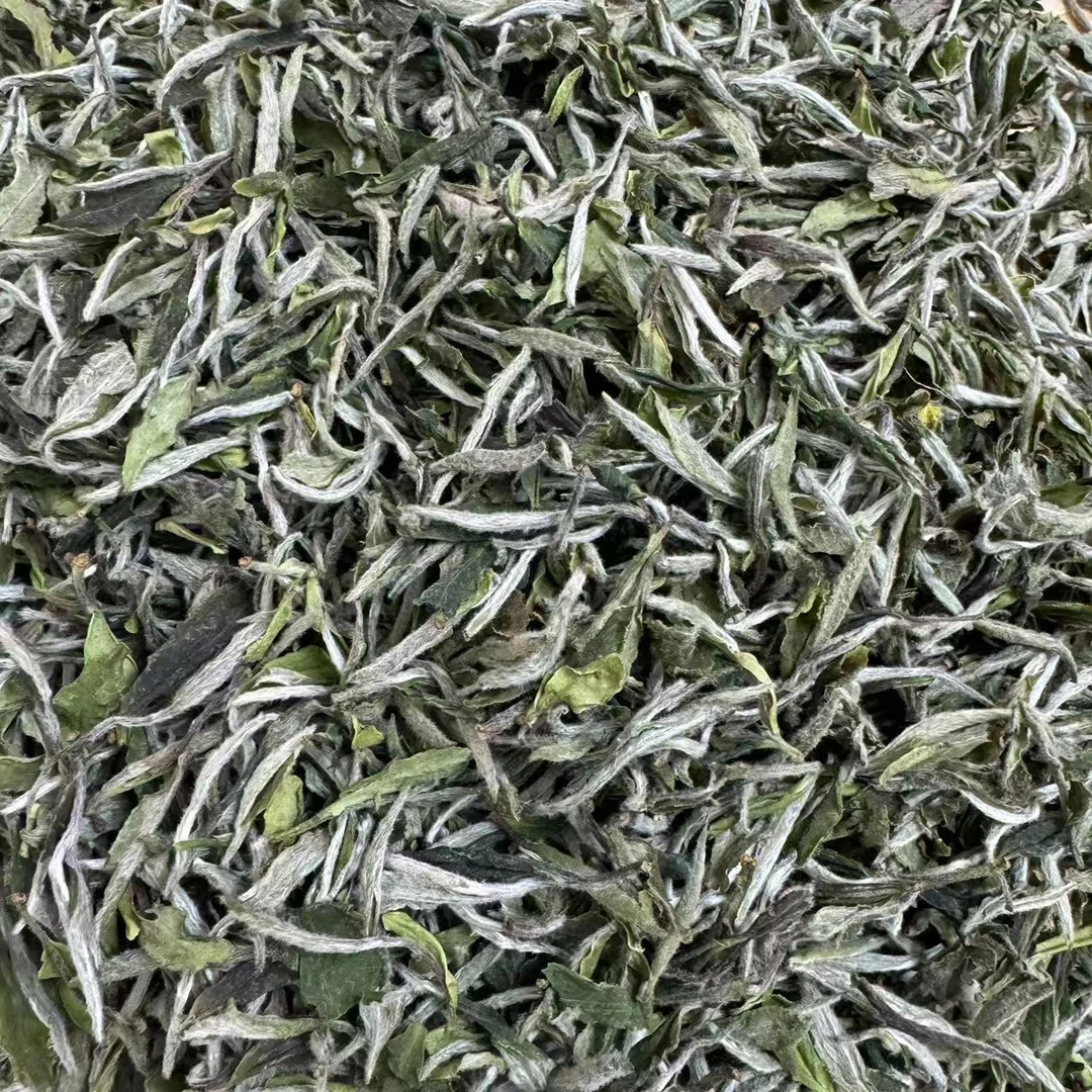 【江缘】福鼎白茶·方家山·2024·白牡丹·特级牡丹王·