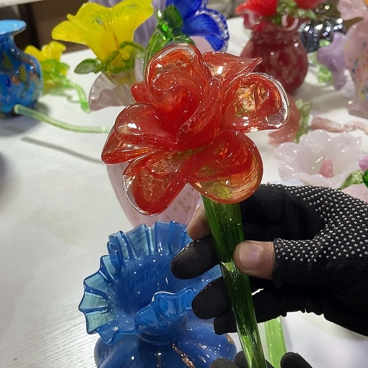 红色玫瑰琉璃瓜花高27理米左右