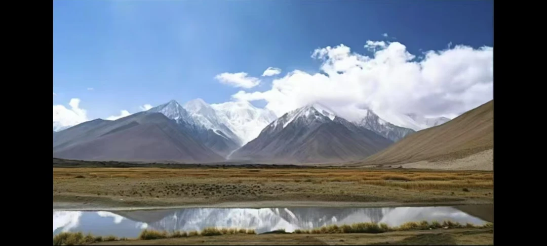 NG/20CM原创私定真皮包888-卡黑粉