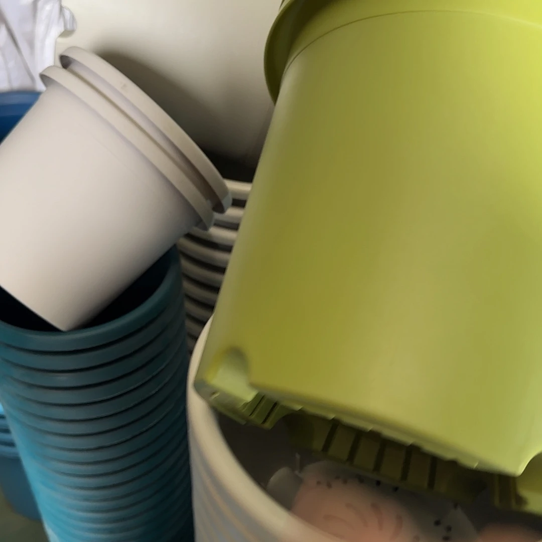 树脂四季5号无托6个果绿微