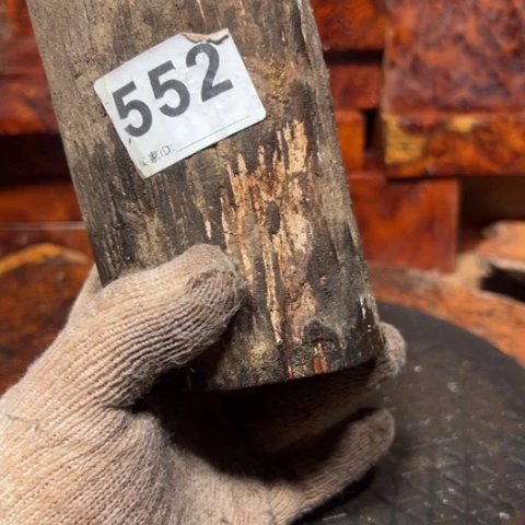 大果紫檀（缅甸花梨）