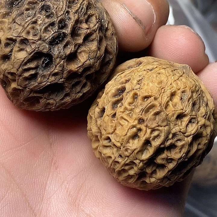 把件文玩核桃云南铁核桃B44