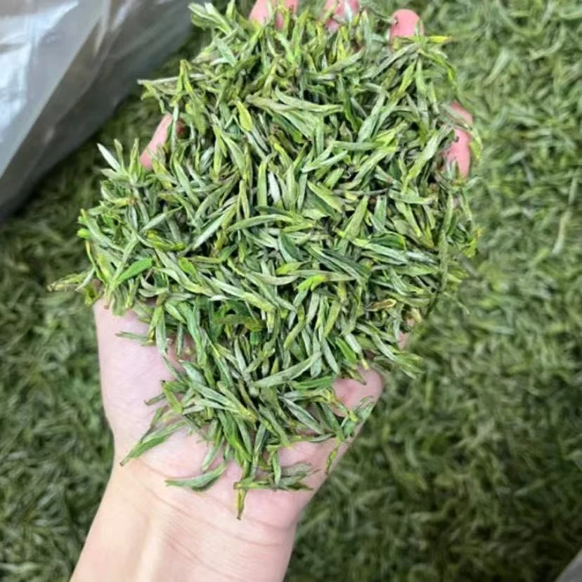 2025年新茶 头春头采黄山土种毛峰绿茶 兰花香 浓香耐泡