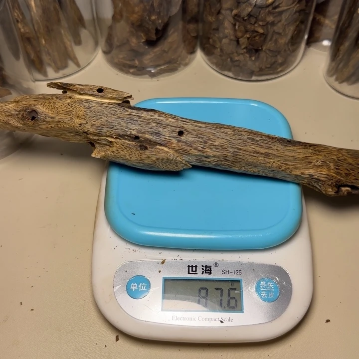 风车木（黑檀木）阿*野生原母树虫漏87.6克