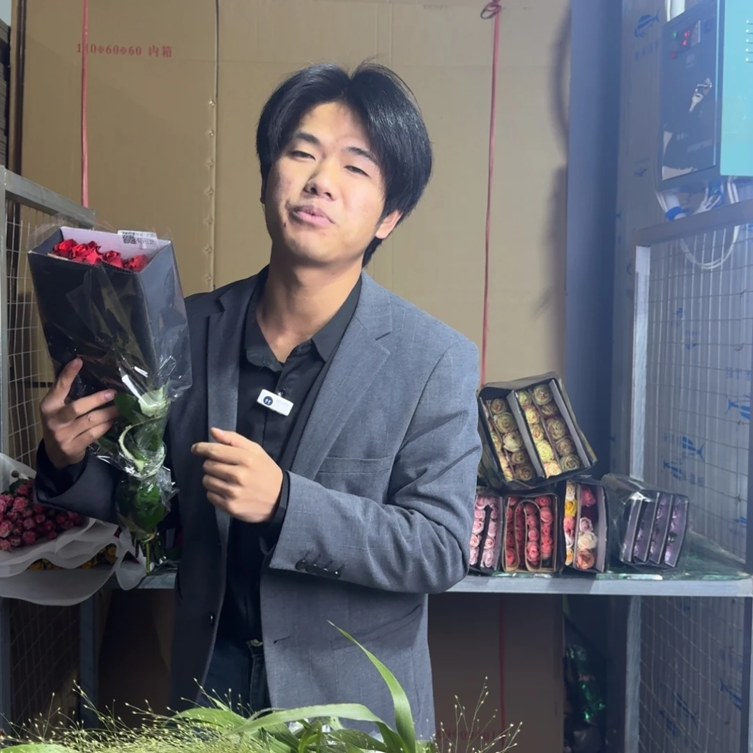 珍爱玫瑰1扎。无土栽培不售后