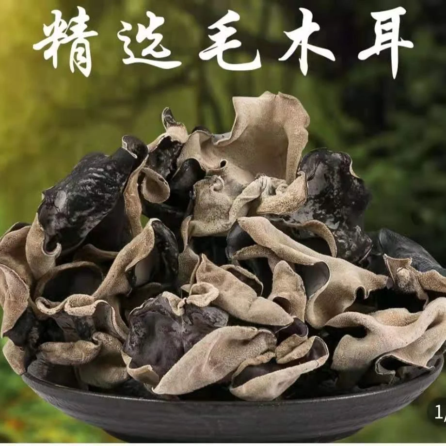 毛木耳干货餐饮火锅食材脆木耳农家特产凉拌白背毛木耳