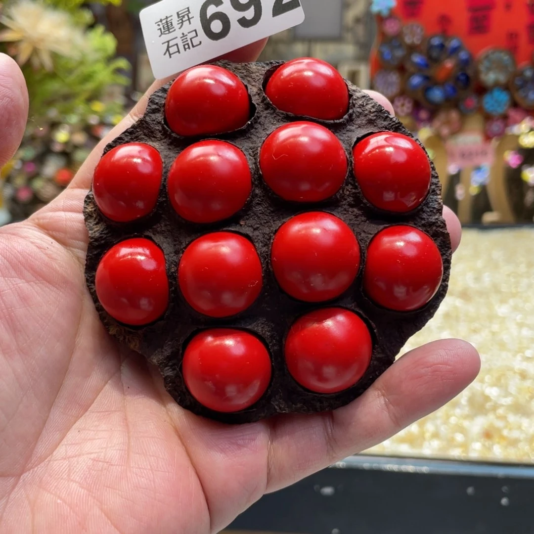 核桃木/黑胡桃（胡桃木）692