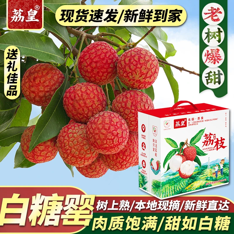 荔皇新鲜现摘白糖罂荔枝广东茂名高州香甜多汁水果XA