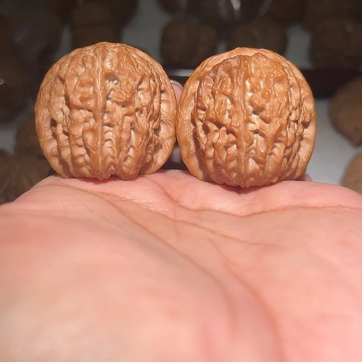 木39血麒麟。 轻微泛油。