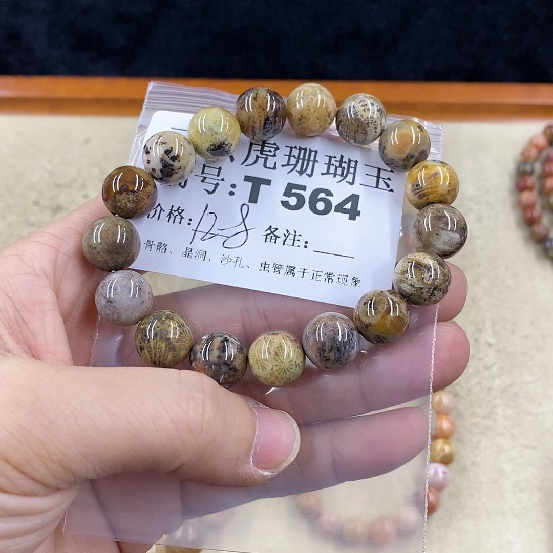 硅化珊瑚（珊瑚玉）1未镶嵌星**