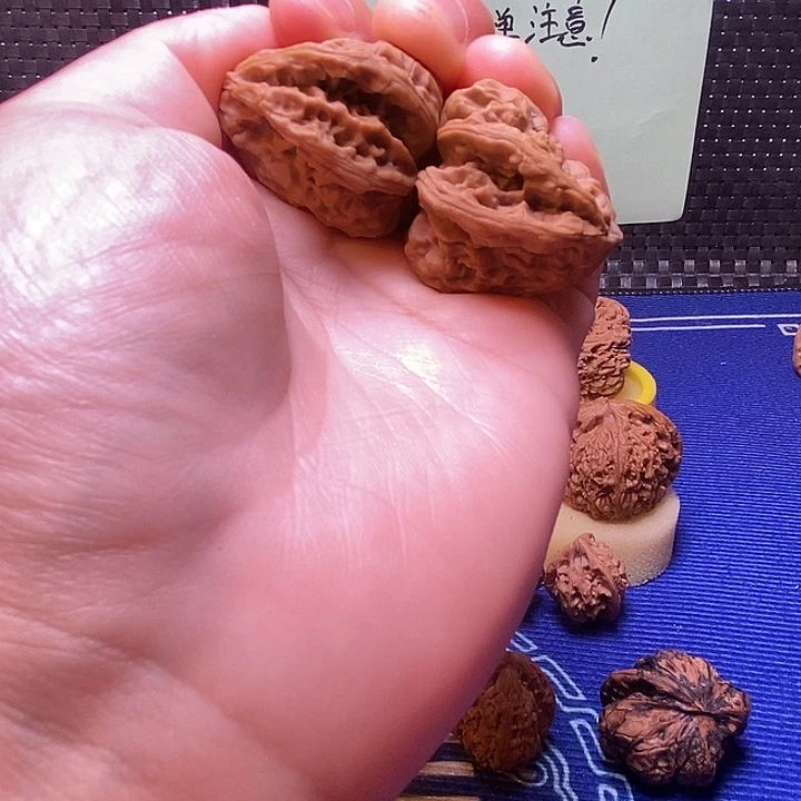 南疆石生命之源异形