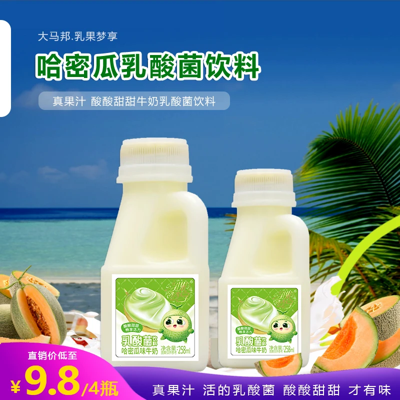 哈密瓜乳酸菌果汁牛奶儿童酸奶酸甜饮品大马邦乳果梦享小瓶258ml