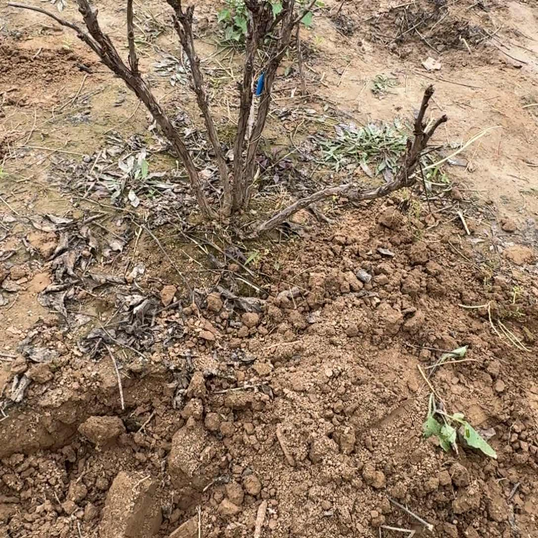 完全开放1111111111111111