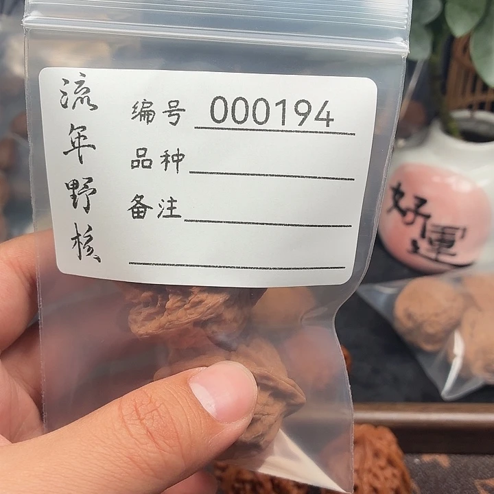****o吊坠文玩核桃追龙