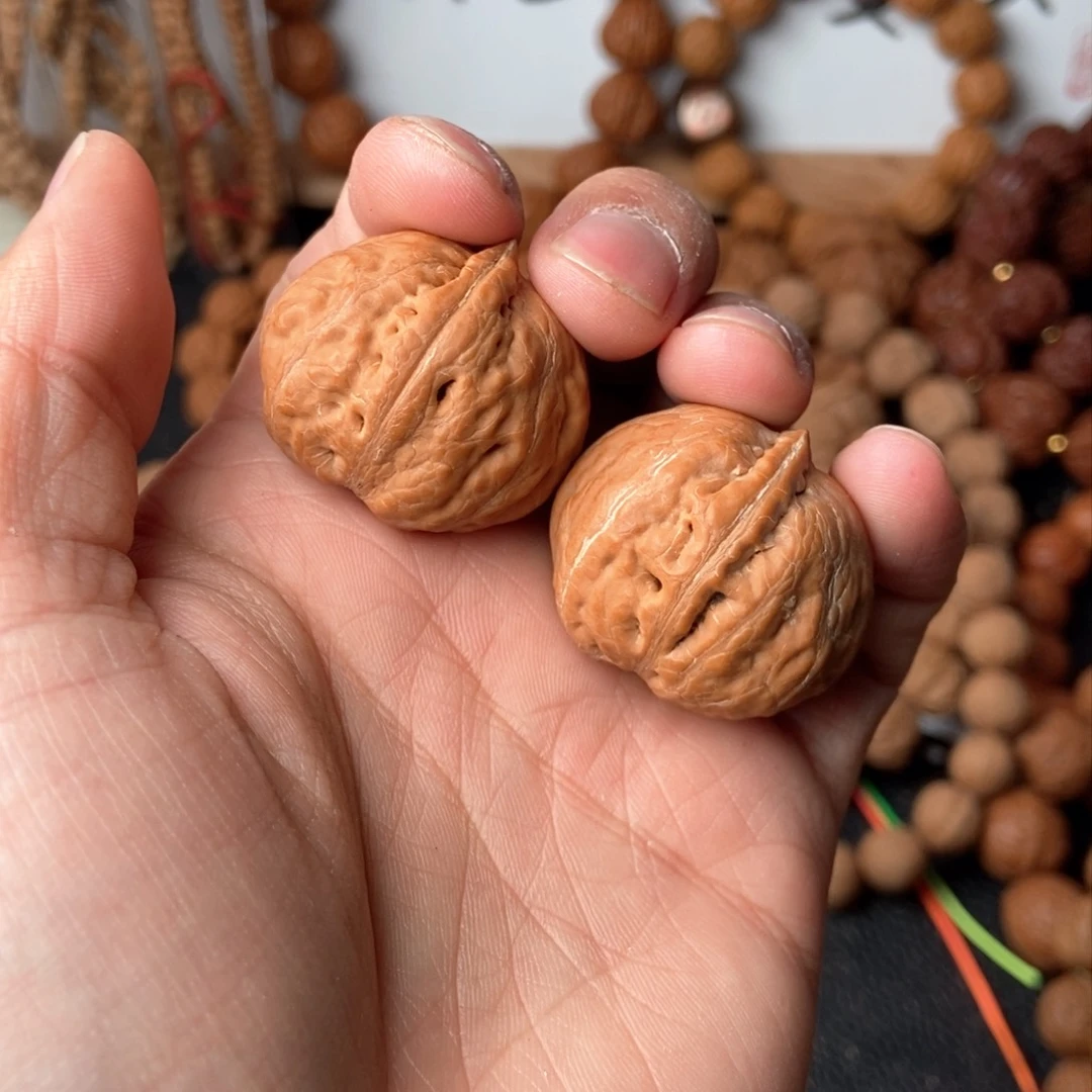 野生小秋子手捻元宝肚28/32