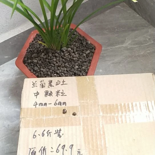雁***翔兰菌黑山土中颗粒6.6斤
