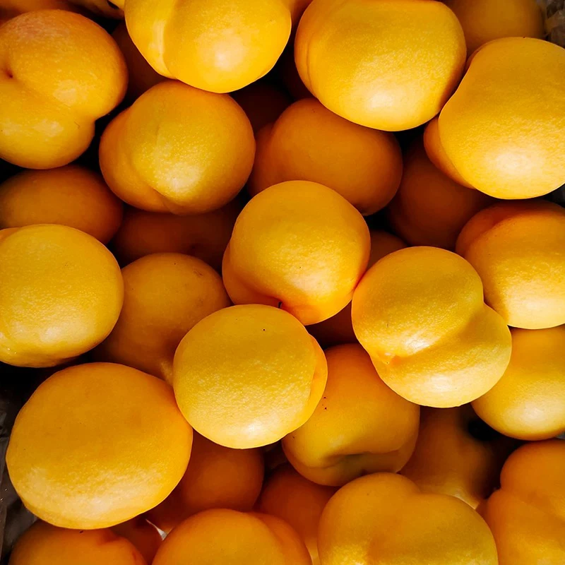 黄油桃表皮没毛3-4个约550克陕西省