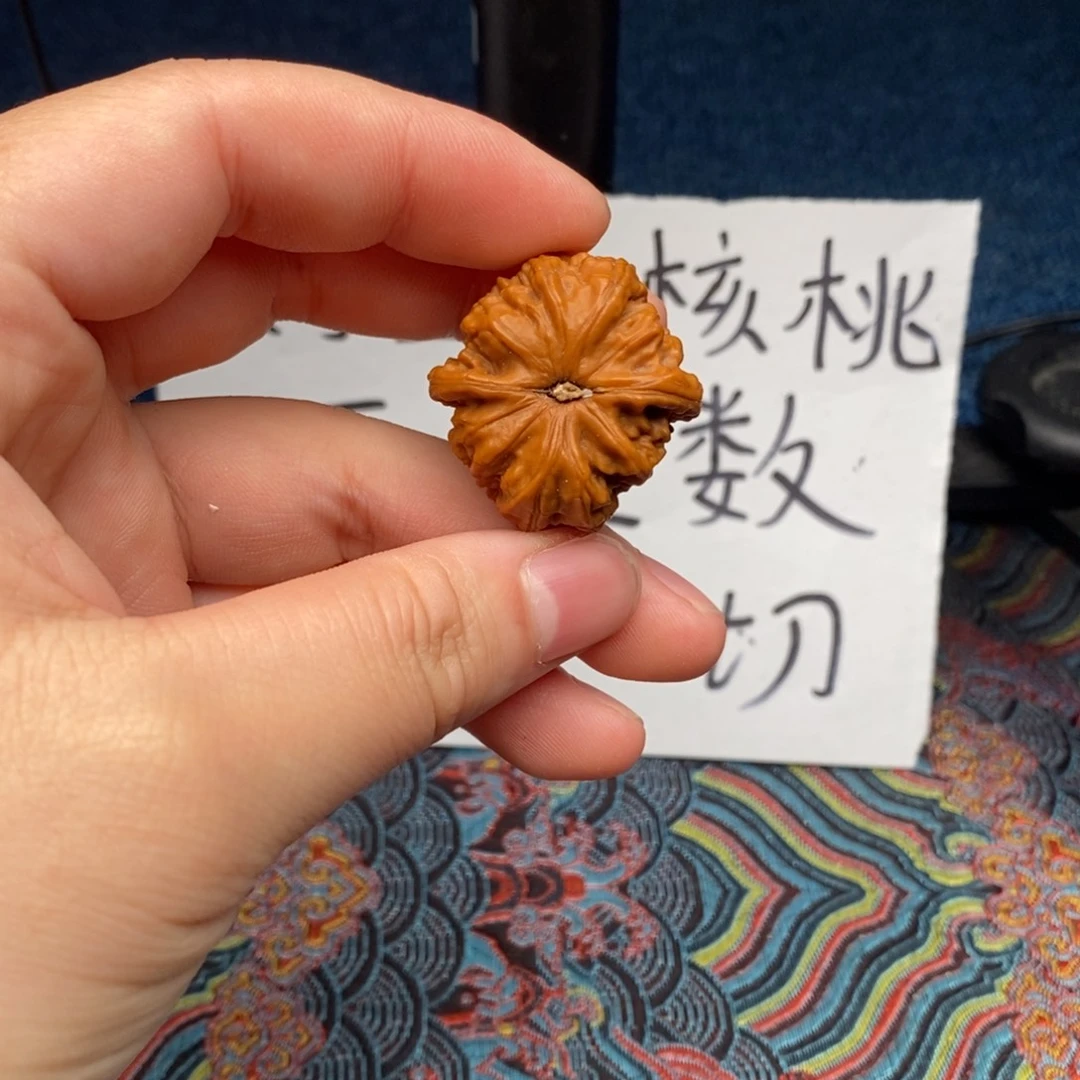 核桃哈哈哈哈哈哈哈哈哈哈哈哈哈哈哈
