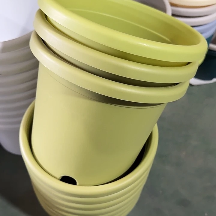 微瑕3#果绿10个无托