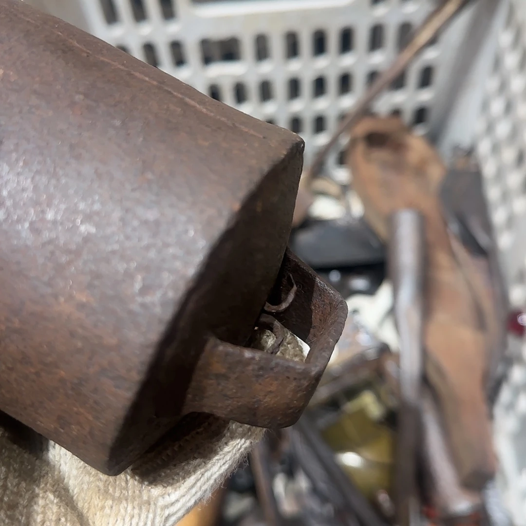 无***雨一物一图看好在拍，