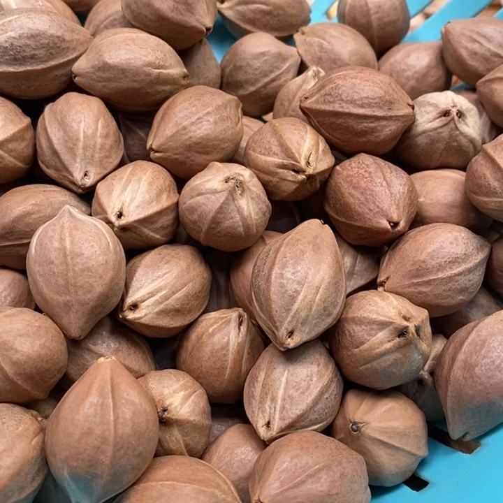 吊坠橄榄核藏半斤