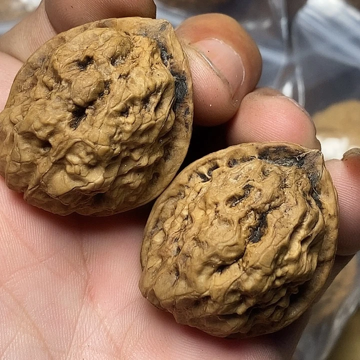 文玩核桃把件云南铁核桃A42