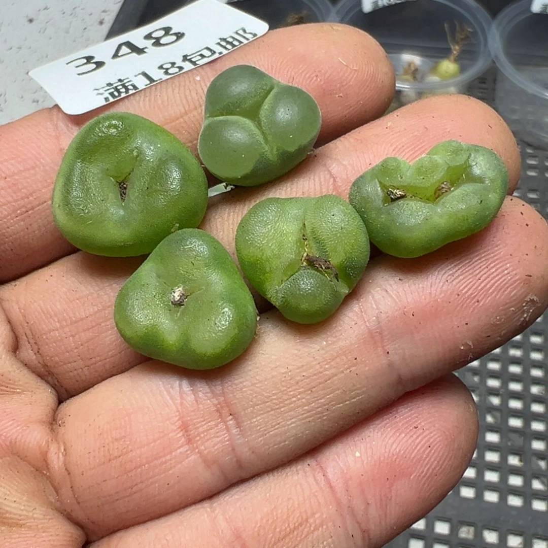 【闪购商品】 348。