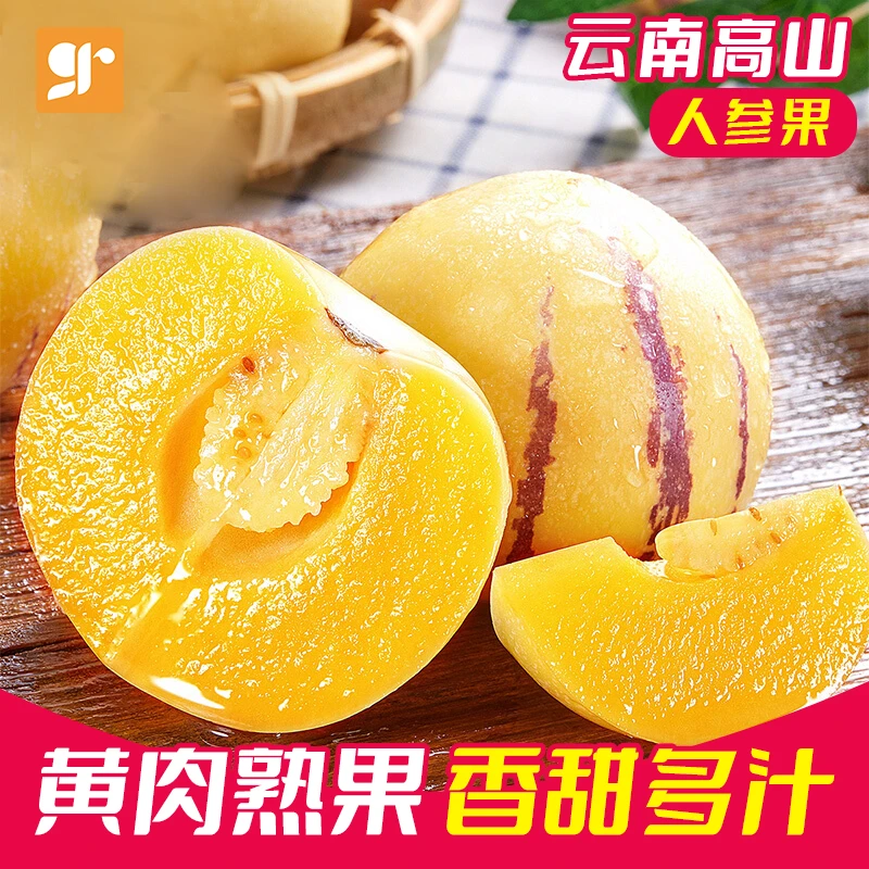 【树熟】云南人参果圆果当季自然熟新鲜孕妇水果黄肉人生果整箱包邮