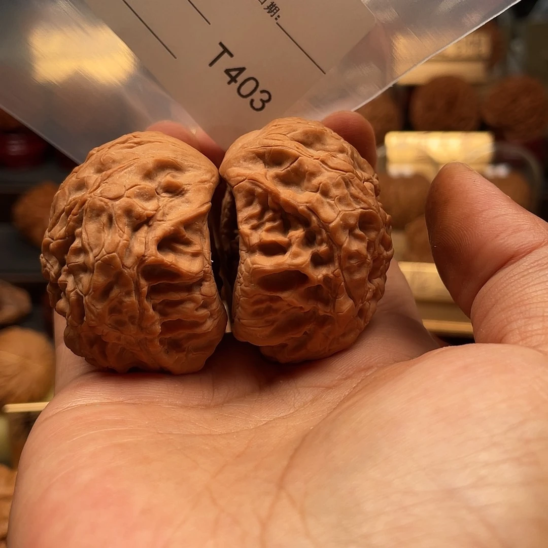 ****I文玩核桃把件蛇王聚宝盆403