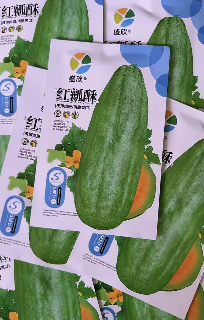 【红瓤酥瓜种子】四季种植盆栽地栽阳台小院种植