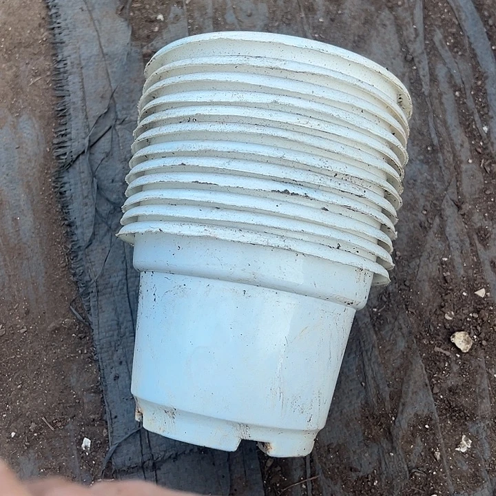 白色圆盆口径15高10发25个