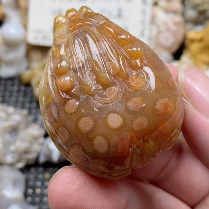 颈饰未镶嵌硅化珊瑚（珊瑚玉）