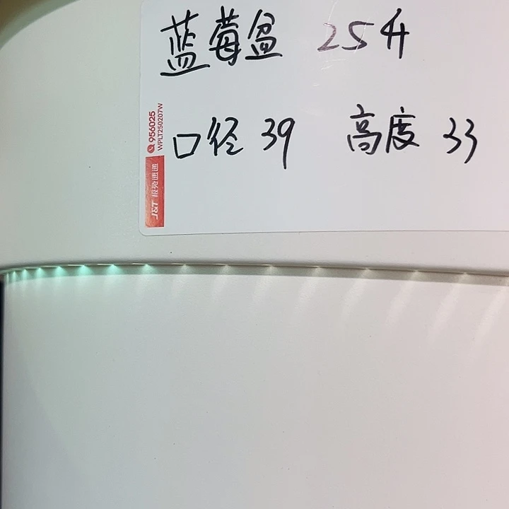 正品蓝莓盆口39高33白色3只无托