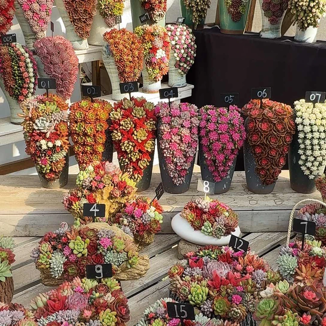 7盆138的福利款上车