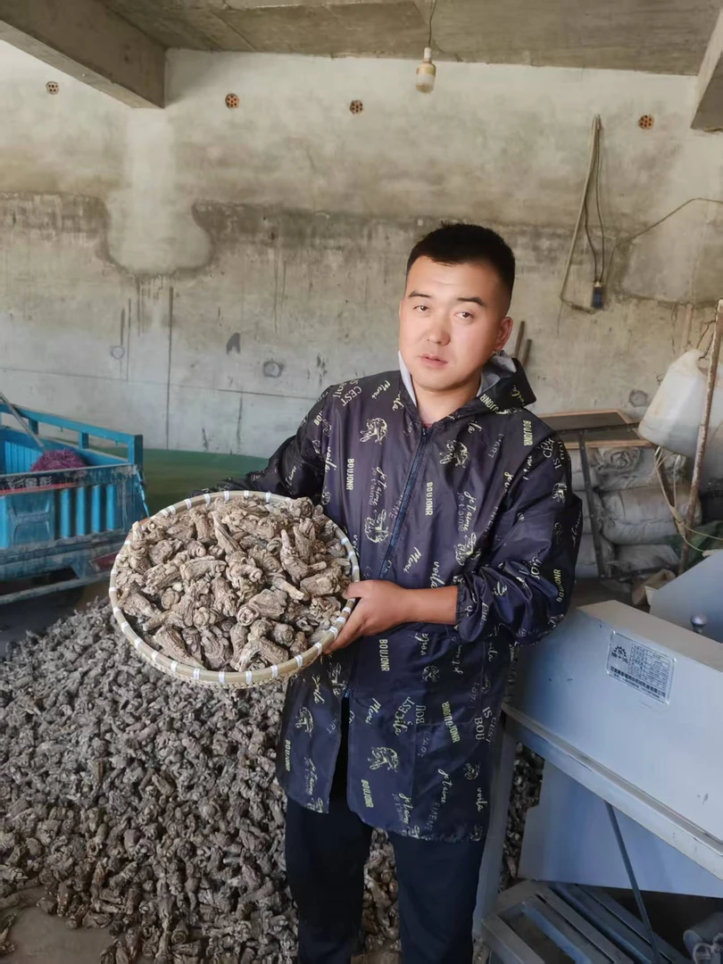 岷县无硫当归头  滋补养生炖肉煲汤