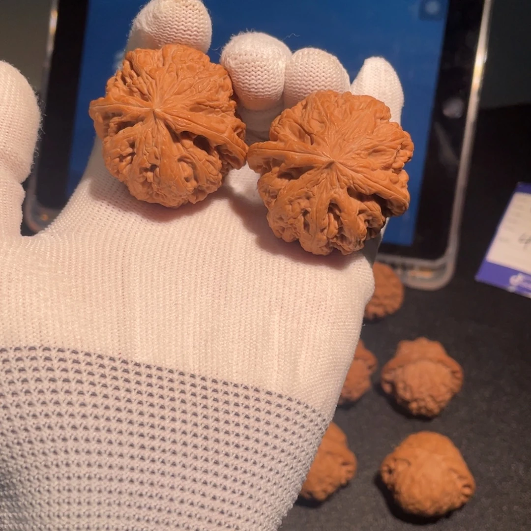 文玩核桃把件大粗筋 编号A2