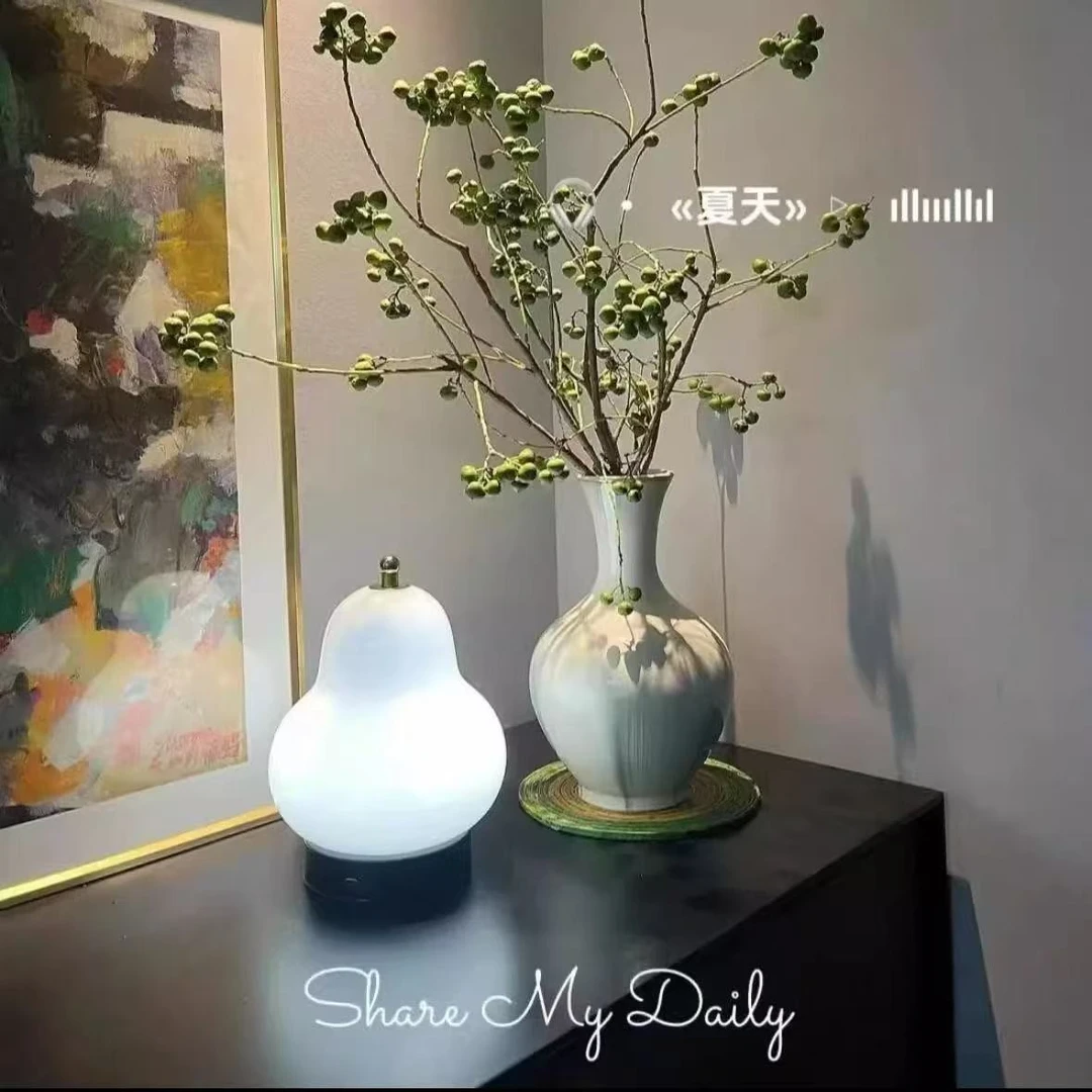 菩提果乌桕果小白果中式美学插花可用于家居装饰