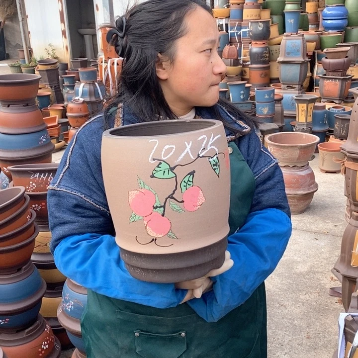 紫砂花盆盆栽花卉苗木种植