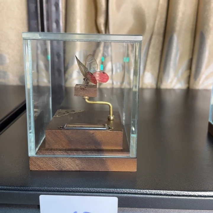 蝴蝶标本蝴蝶标本