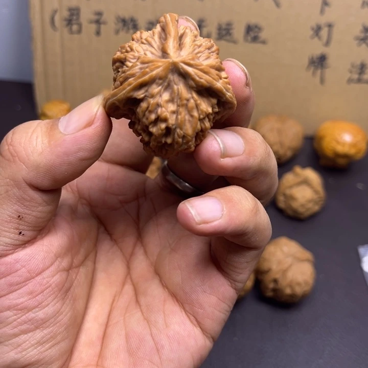 吴***密菩提籽类四座楼三棱