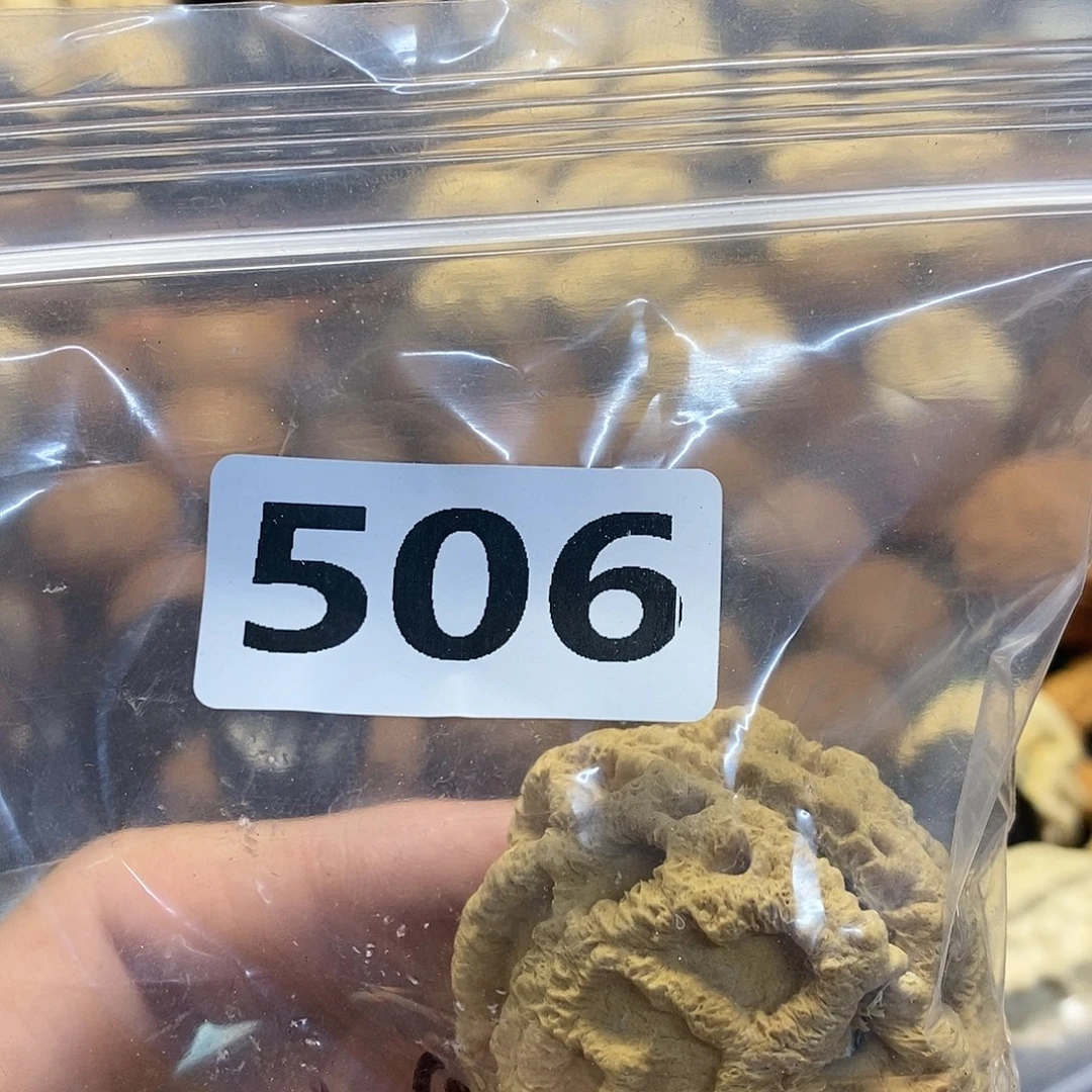 柏香籽/百香籽吊坠没***转