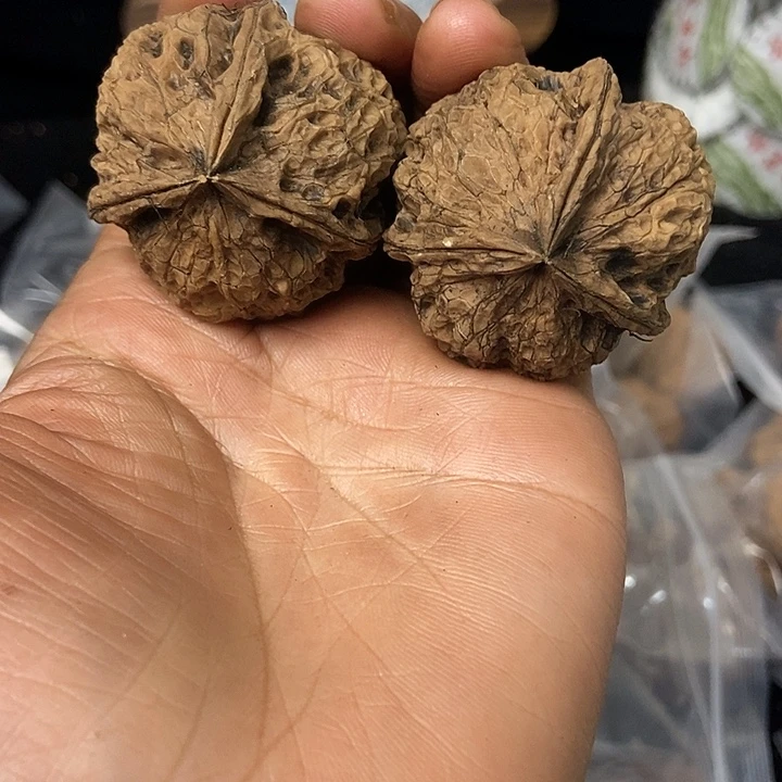 文玩核桃把件云南铁核桃基地82