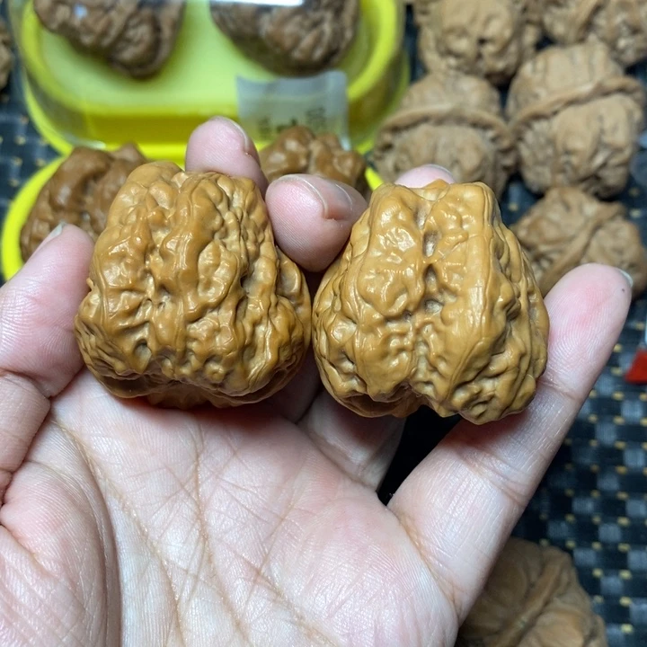 文玩核桃把件蛤蟆头38
