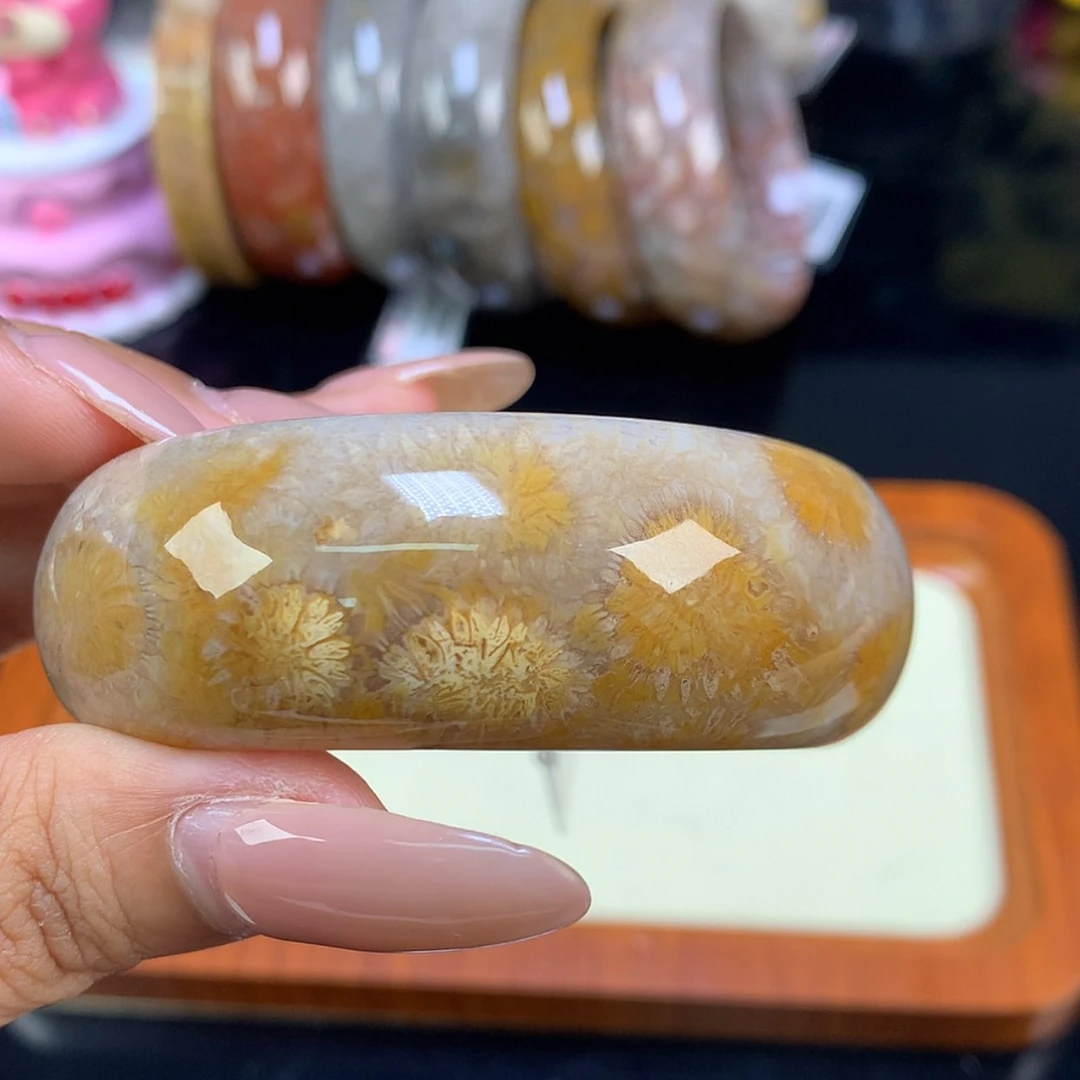 【闪购商品】颈饰未镶嵌硅化珊瑚（珊瑚玉）14号 51.2