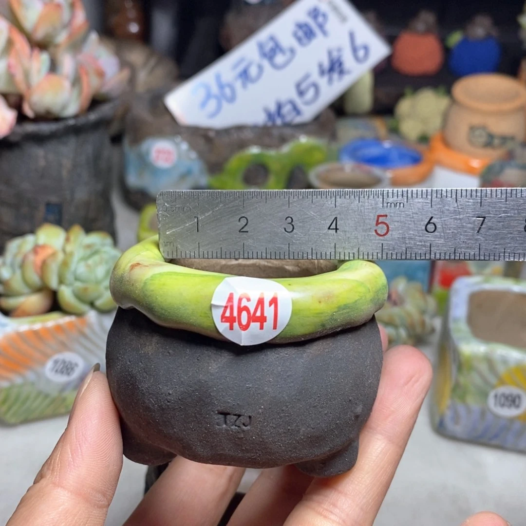 拍5送一个小礼物