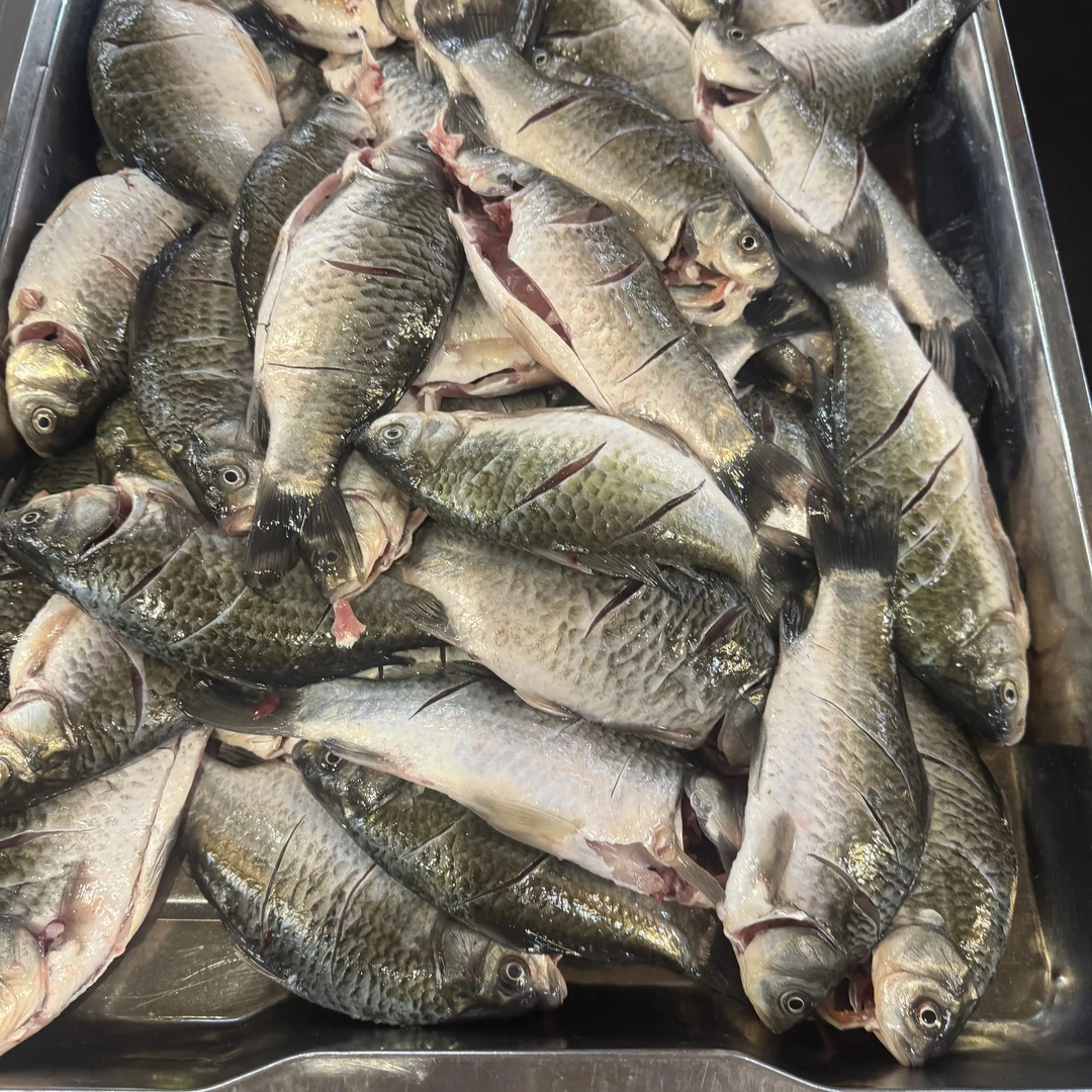 乌苏里江鱼野生大鲫鱼，清完内脏净重5斤顺丰包邮